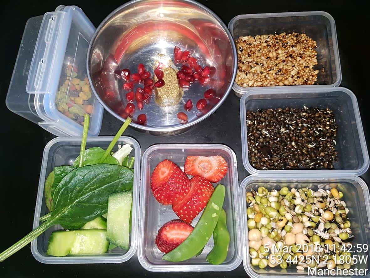 Zupreem Fruit blend Pellets Ringneck Parrots Manchester