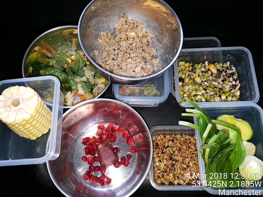 Indian Ringnecks Ringneck Parrots Manchester